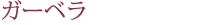 ガーベラ