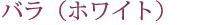 バラ（ホワイト）
