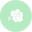 6月の花