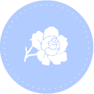 8月の花