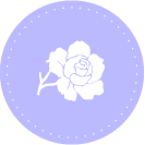 9月の花