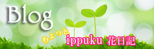 ちょっとippuku 花日記