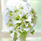 2月の花