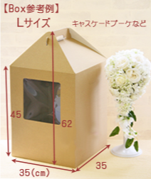 BoxサイズL