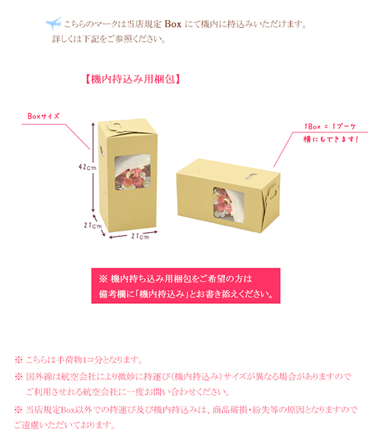 機内持ち込みBox
