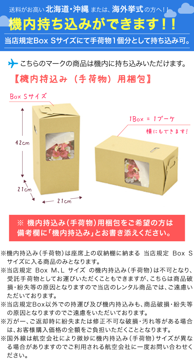 機内持ち込み