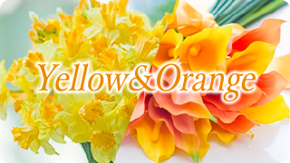 Yellow & Orange
